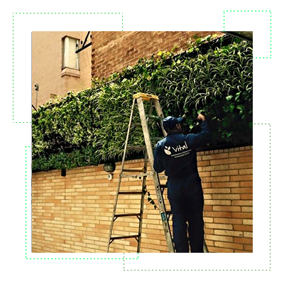 colaborador en mantenimiento