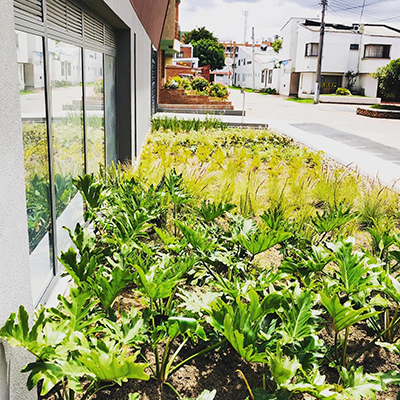 colaborador impermeabilizando