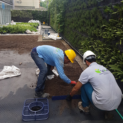 muro verde atlantica