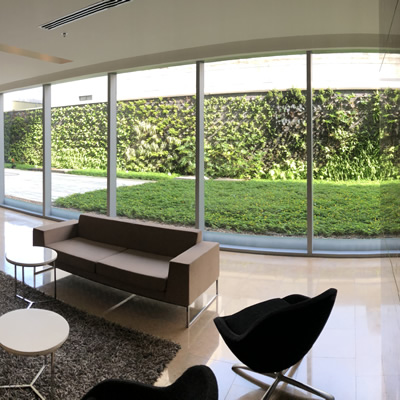 muro verde atlantica