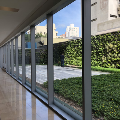 muro verde atlantica