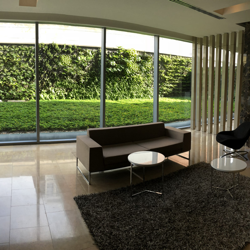 muro verde atlantica