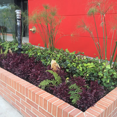 paisajismo axxes 140