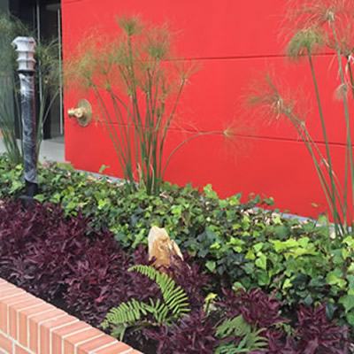 paisajismo axxes 140