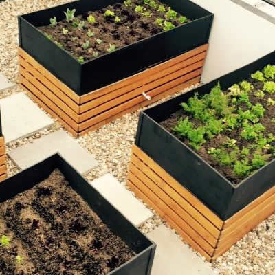 huertos urbanos chico