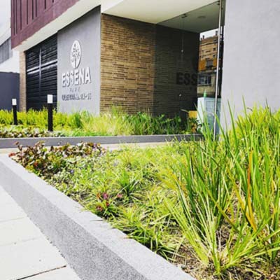 paisajismo essena park