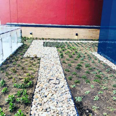 Paisajismo Hotel Hyatt