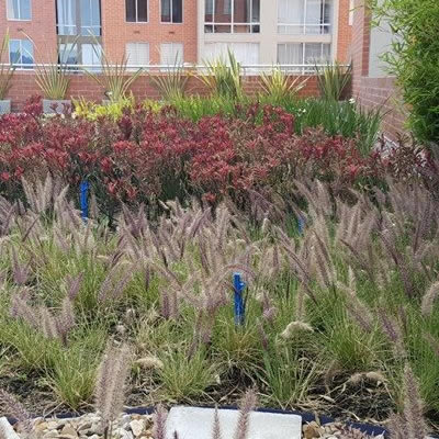 cubierta verde kepler