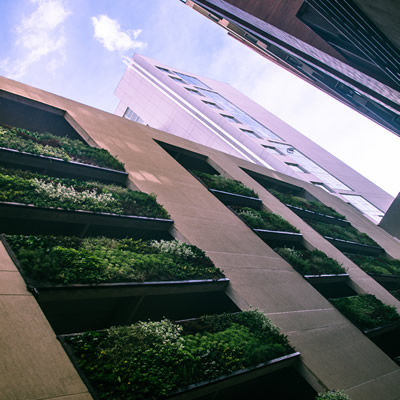 muros verdes maz espacios