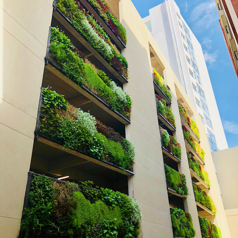 muros verdes maz espacios